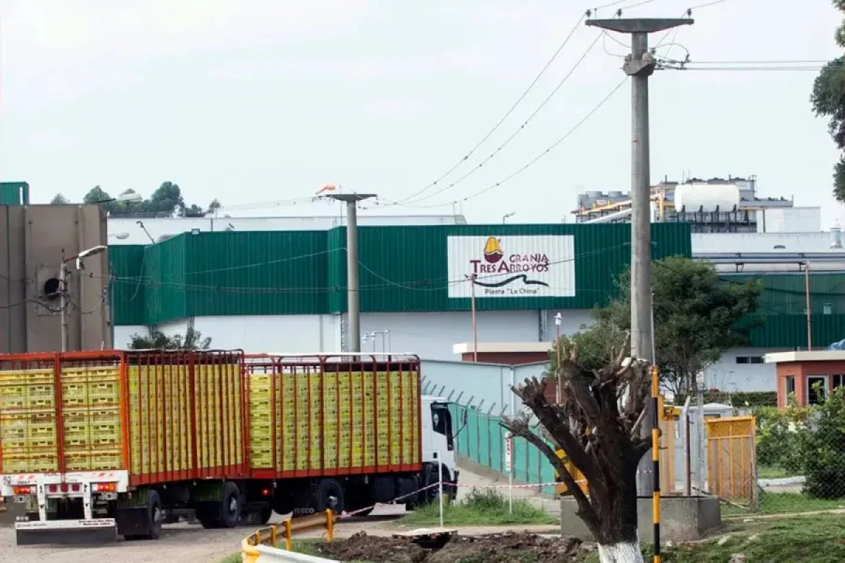 Despidos en Granja Tres Arroyos: crece la incertidumbre entre los trabajadores y el gremio duda de que se paguen las indemnizaciones